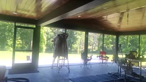 trojanswingers online show from June 2, 6:32 pm