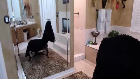 Trophy Wifey  iframe src height528 width850 s online show from February 19, 8:21 am