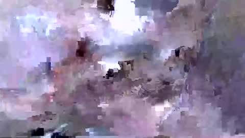 troy1965 online show from April 12, 5:45 am