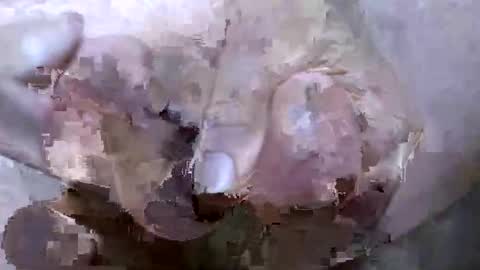 troy1965 online show from April 21, 5:03 am