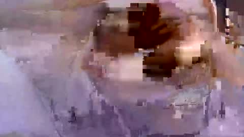 troy1965 online show from April 26, 5:27 am