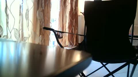 Snapshot of truble_again chatting on May 18, 5:46 am truble_again online show from May 18, 5:46 am