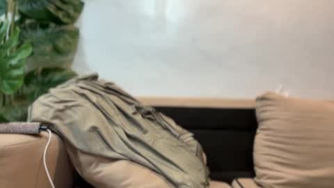 kendall online show from September 17, 7:37 pm