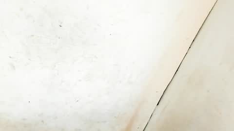 Snapshot of tsmanika chatting on January 11, 6:35 am MA NI KA online show from January 11, 6:35 am