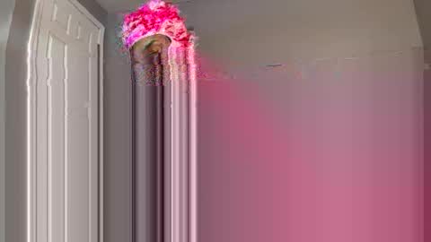 TransDollX online show from February 3, 6:35 pm