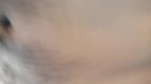 ttimmyt online show from November 8, 8:07 pm