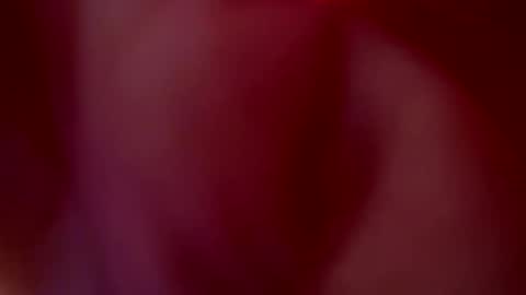 Snapshot of tu_julieta_gh chatting on October 20, 1:06 am JULIETA online show from October 20, 1:06 am