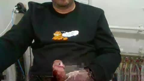 Snapshot of turkishdaddy34 chatting on February 12, 5:37 pm turkishdaddy34 online show from February 12, 5:37 pm