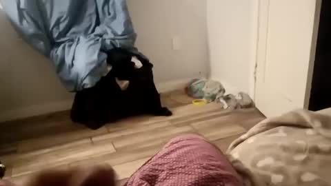 twest84 online show from September 14, 8:46 am