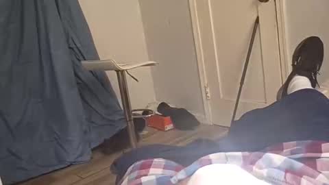 twest84 online show from November 2, 10:45 pm