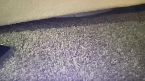 Snapshot of twinkgabe chatting on February 16, 4:03 pm twinkgabe online show from February 16, 4:03 pm