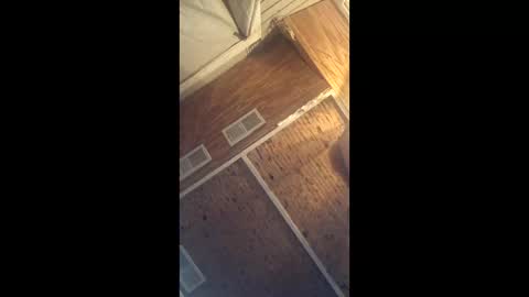 twistercouple3371 online show from March 10, 4:06 am