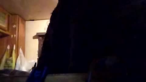 Snapshot of twiztidleeanna69 chatting on February 1, 12:05 pm Tintilizing Excitement online show from February 1, 12:05 pm