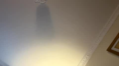 twogoodtobetrue2 online show from December 9, 3:22 pm