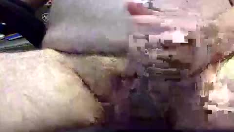 txranger6519 online show from April 22, 12:39 pm