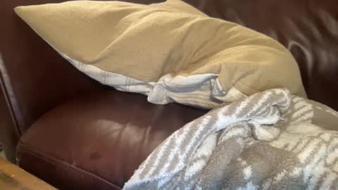 ty223222 online show from February 6, 10:37 am