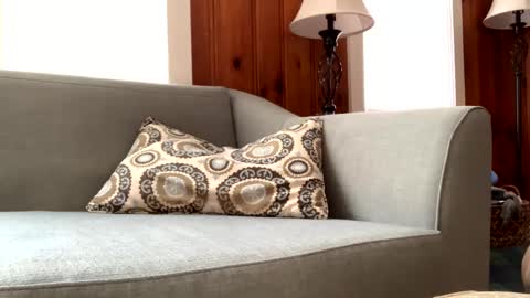 Tyler Sands online show from February 11, 2:46 pm