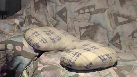 Snapshot of tyson2525 chatting on November 9, 4:11 am Helena and Tyson online show from November 9, 4:11 am