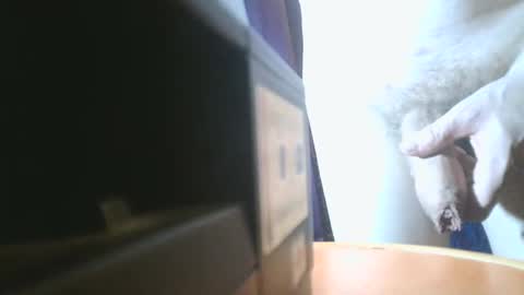 u02g2 online show from December 21, 8:00 pm