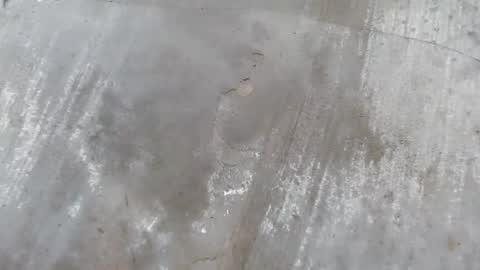 urdreamboy_clarin online show from April 21, 12:44 pm