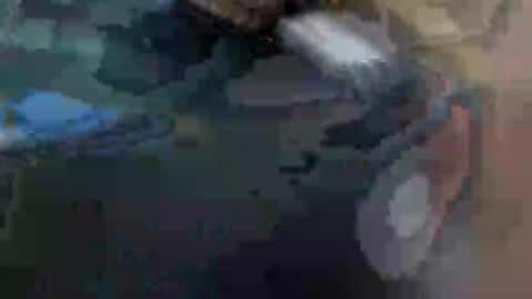 fiona online show from January 29, 10:48 am