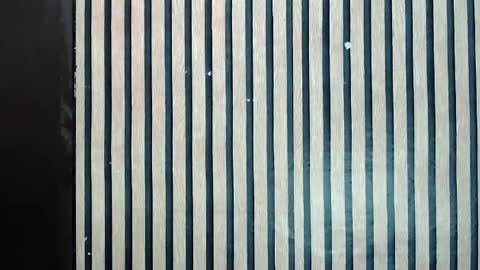 Jane online show from February 10, 11:57 am