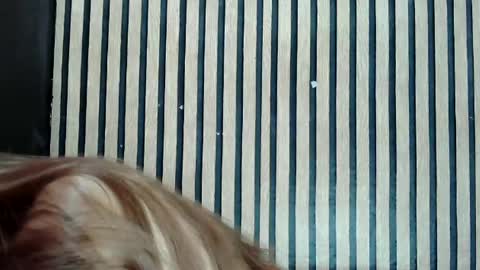 Jane online show from February 25, 12:45 pm