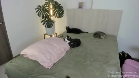    online show from April 24, 10:56 pm