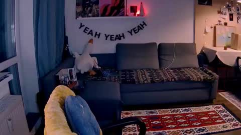 Little Devil online show from January 17, 3:28 pm