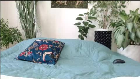 Mollyy Valentine online show from April 23, 9:08 am