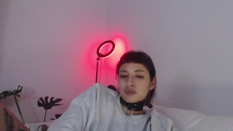 Snapshot of vandalovee chatting on February 25, 9:20 am Babi Alu online show from February 25, 9:20 am