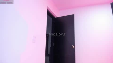 Snapshot of vandalovee chatting on December 4, 3:05 am Babi Alu online show from December 4, 3:05 am