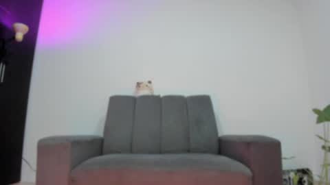 Snapshot of vandalovee chatting on May 25, 9:48 am Babi Alu online show from May 25, 9:48 am