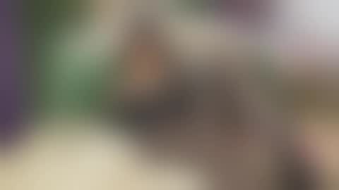 Vanessa online show from September 25, 6:06 am