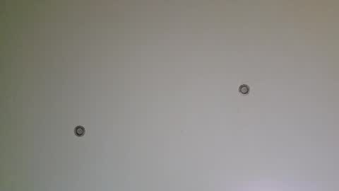 Vani and Choko online show from November 9, 10:30 pm