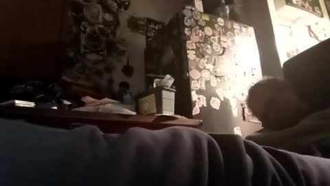 Snapshot of vanuffelentony10494049 chatting on October 23, 8:29 pm vanuffelentony10494049 online show from October 23, 8:29 pm