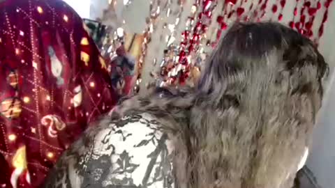 Var Kiss online show from April 4, 4:33 am