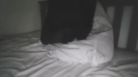 Snapshot of varghese28 chatting on September 18, 10:06 am kerala mallu boy online show from September 18, 10:06 am