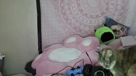 Snapshot of veelehanex3 chatting on January 9, 7:10 am Veronica Lehane online show from January 9, 7:10 am