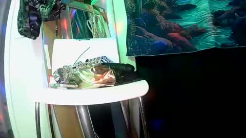 vegasmd online show from February 27, 11:04 pm