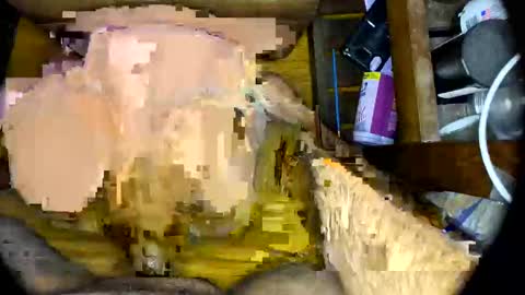 Snapshot of vegujo chatting on February 7, 7:07 am vegujo online show from February 7, 7:07 am