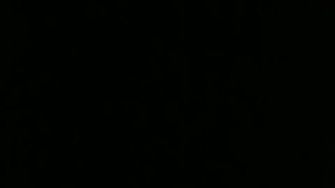 Amaia online show from October 22, 12:16 pm