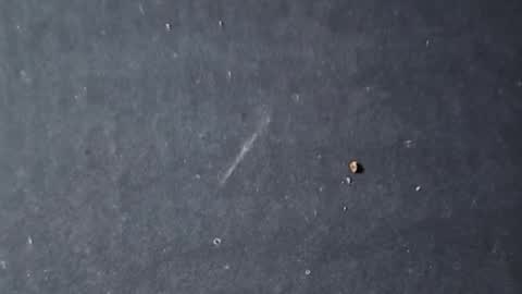 Snapshot of velvetsolez chatting on March 22, 9:29 pm velvetsolez online show from March 22, 9:29 pm