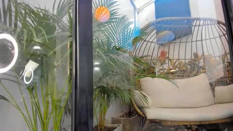 VENUS online show from November 20, 11:43 am