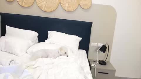 Snapshot of veola_new chatting on November 9, 2:32 am Violetta online show from November 9, 2:32 am