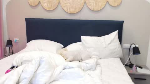 Snapshot of veola_new chatting on December 2, 3:23 am Violetta online show from December 2, 3:23 am