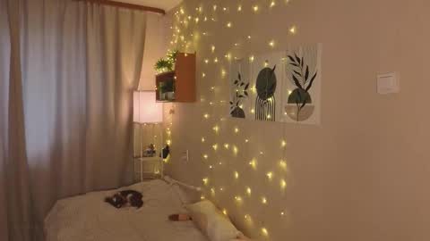 Veronica online show from November 11, 11:21 am