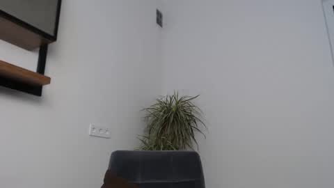 veronik_shy online show from February 12, 8:42 am