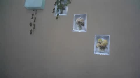 verronique1511 online show from April 22, 4:04 am