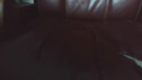 Erik online show from April 20, 6:16 am